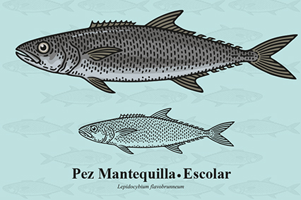 ilustración de un pez mantequilla